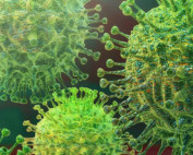 Coronavirus/COVID-19