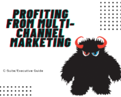 Profiting from multi-channel marketing